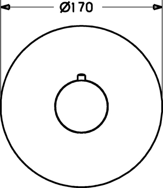Термостат для душа встраиваемый Hansa Ligna 48669501, внешняя часть