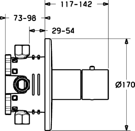 Термостат для душа встраиваемый Hansa Ligna 48669501, внешняя часть
