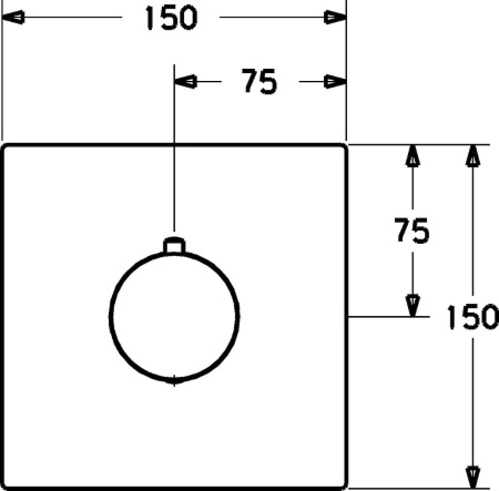 Термостат для душа встраиваемый Hansa Designo 41129573, внешняя часть